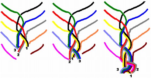 schéma de formation de la tresse